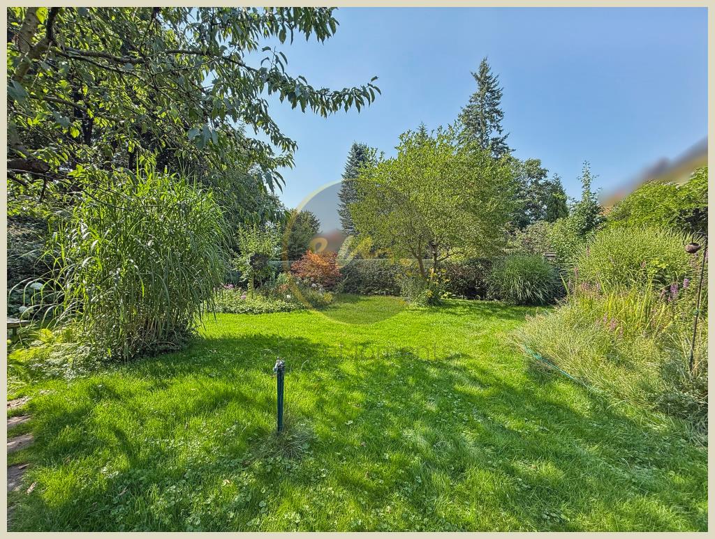 Außenaufnahme (Garten)