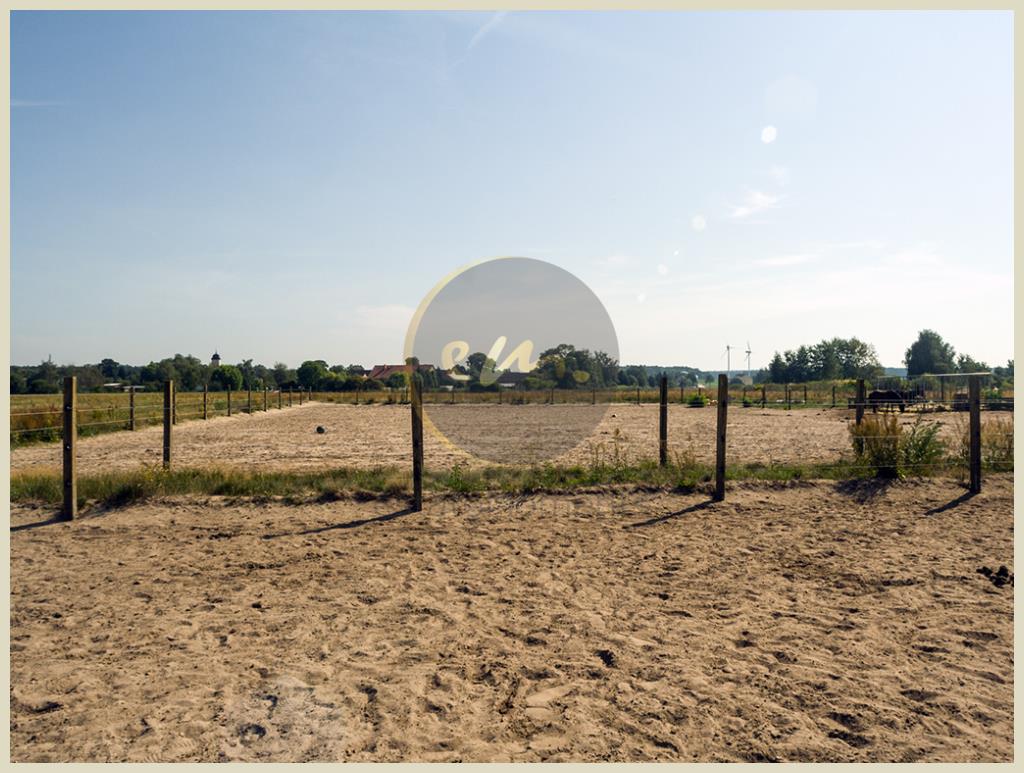 Paddocks für Pferde