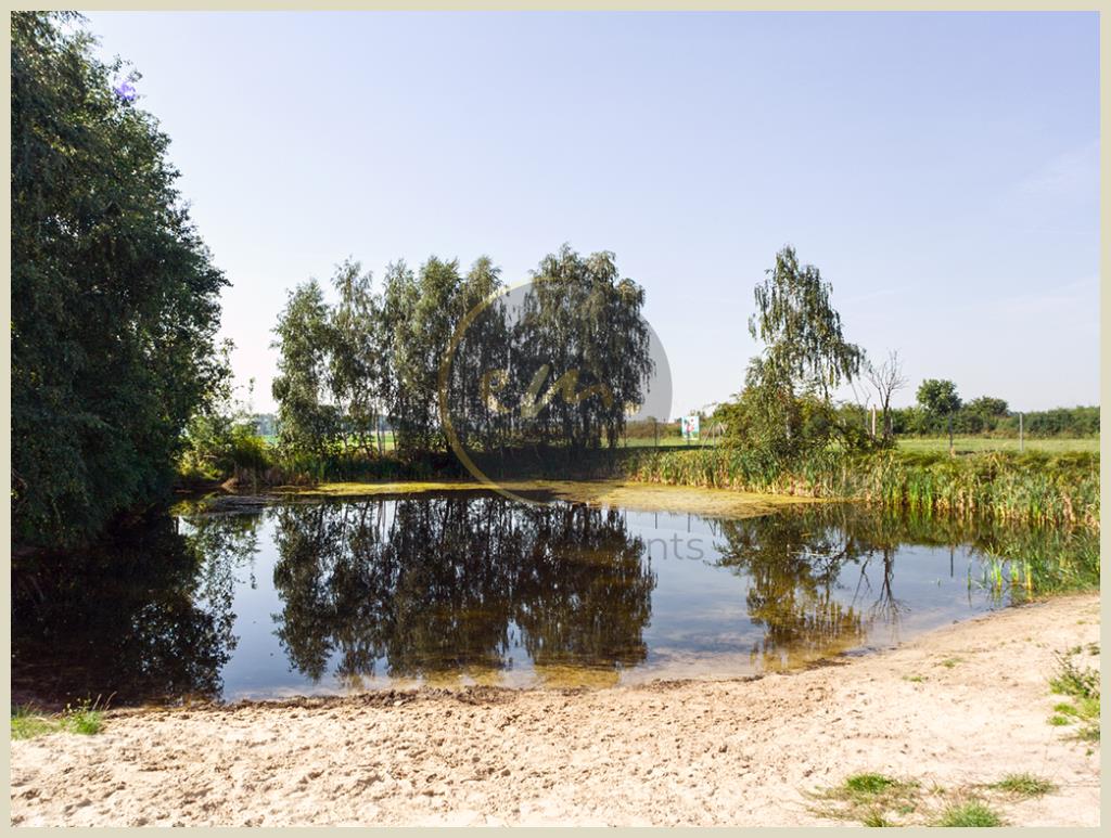 Angrenzender Badeteich