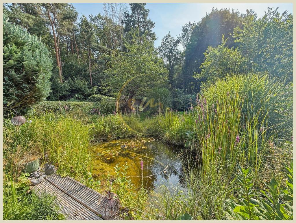 Außenaufnahme (Garten)