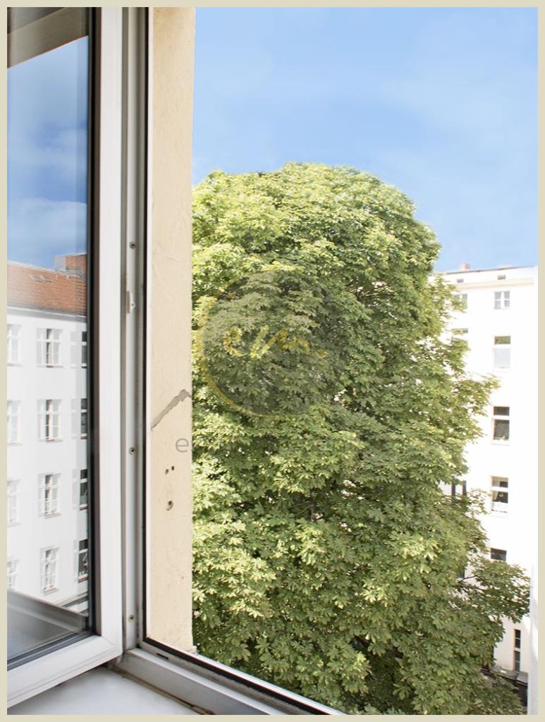 Fensteraussicht
