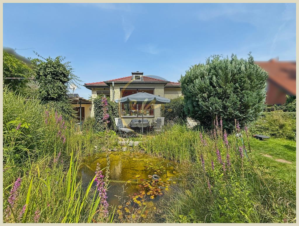 Außenaufnahme (Garten)