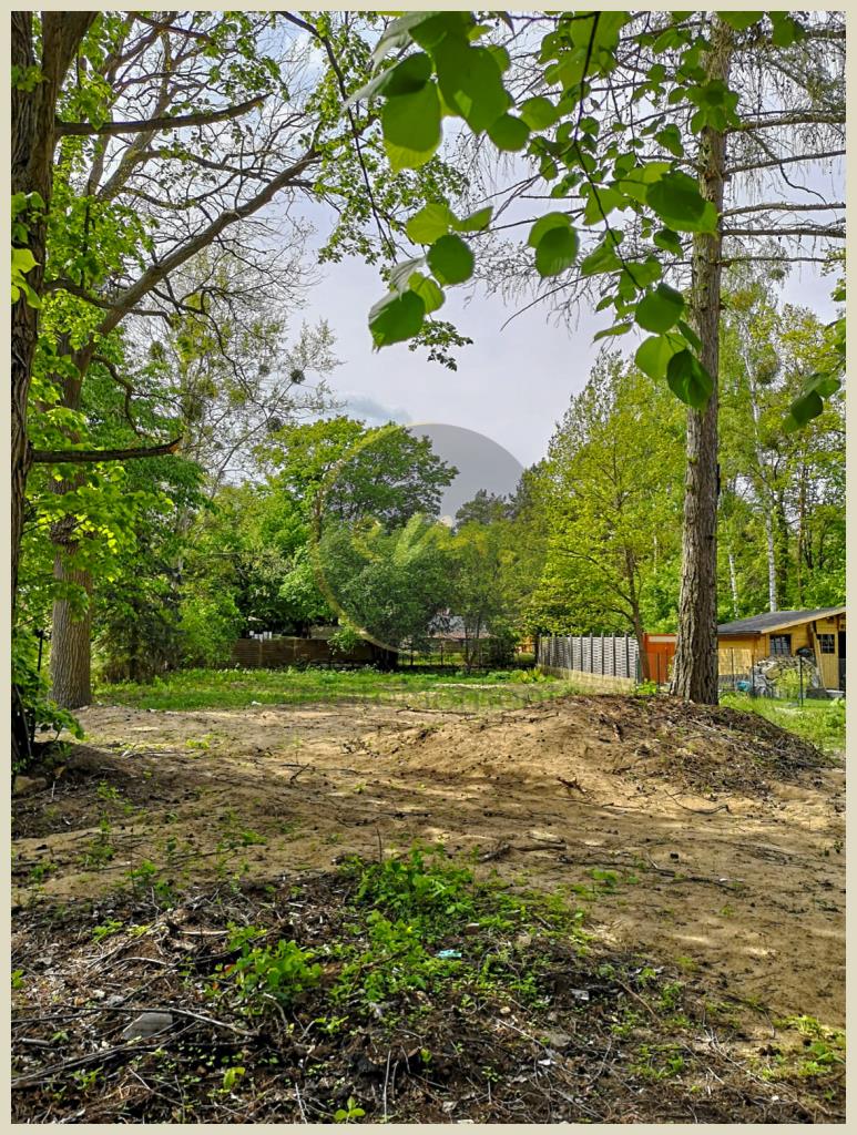 Blick zur Grundstücksrückseite