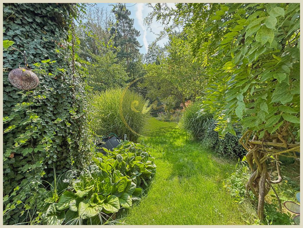 Außenaufnahme (Garten)