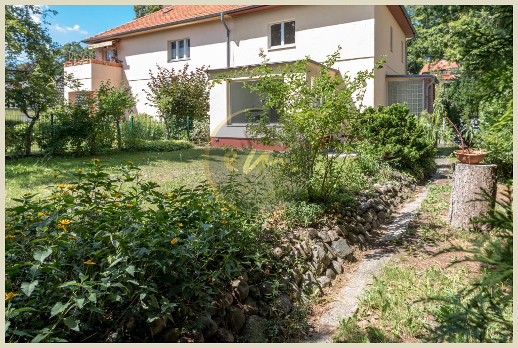 Objekt Nr 906-2018.07.24-0367