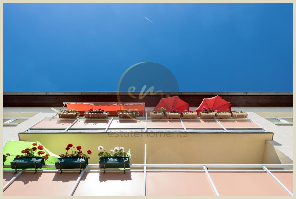 Werder - Hochparterre in Werder (Havel): Balkon mit Südwestausrichtung