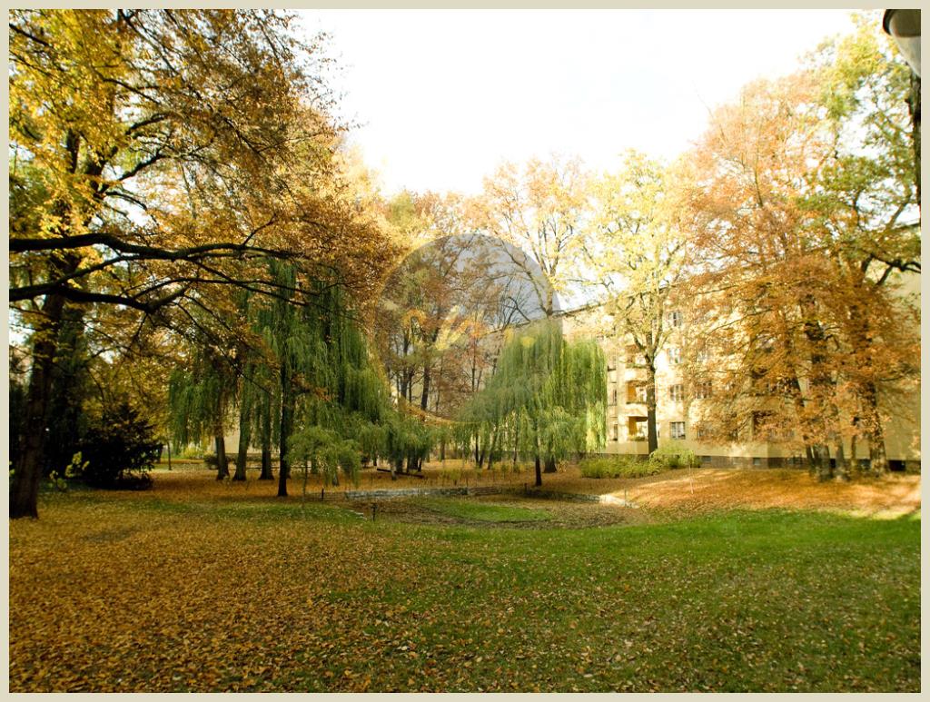 Berlin - 'Kissingenviertel' - Toller Schnitt mit Grünblick
